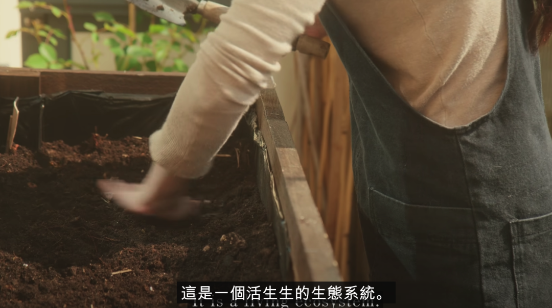 二胎妈妈改造8㎡阳台种20多种蔬菜，看了这个，我疫情还要抢菜？