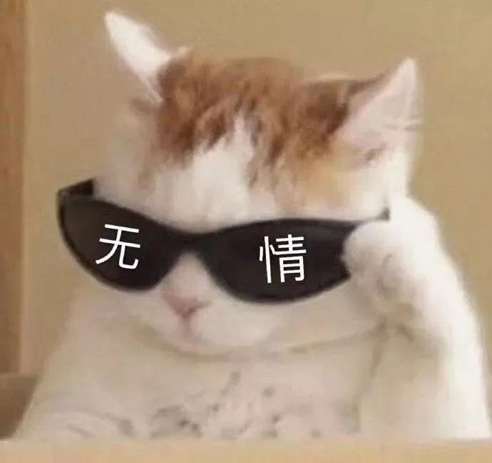 表情包｜此生若是同淋雨，也算人生落汤鸡