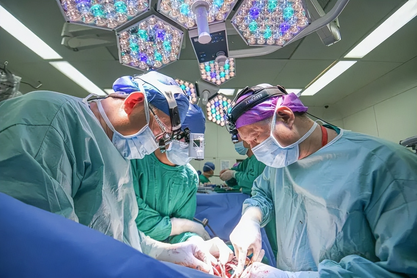 全球首创、世界首例！这7大