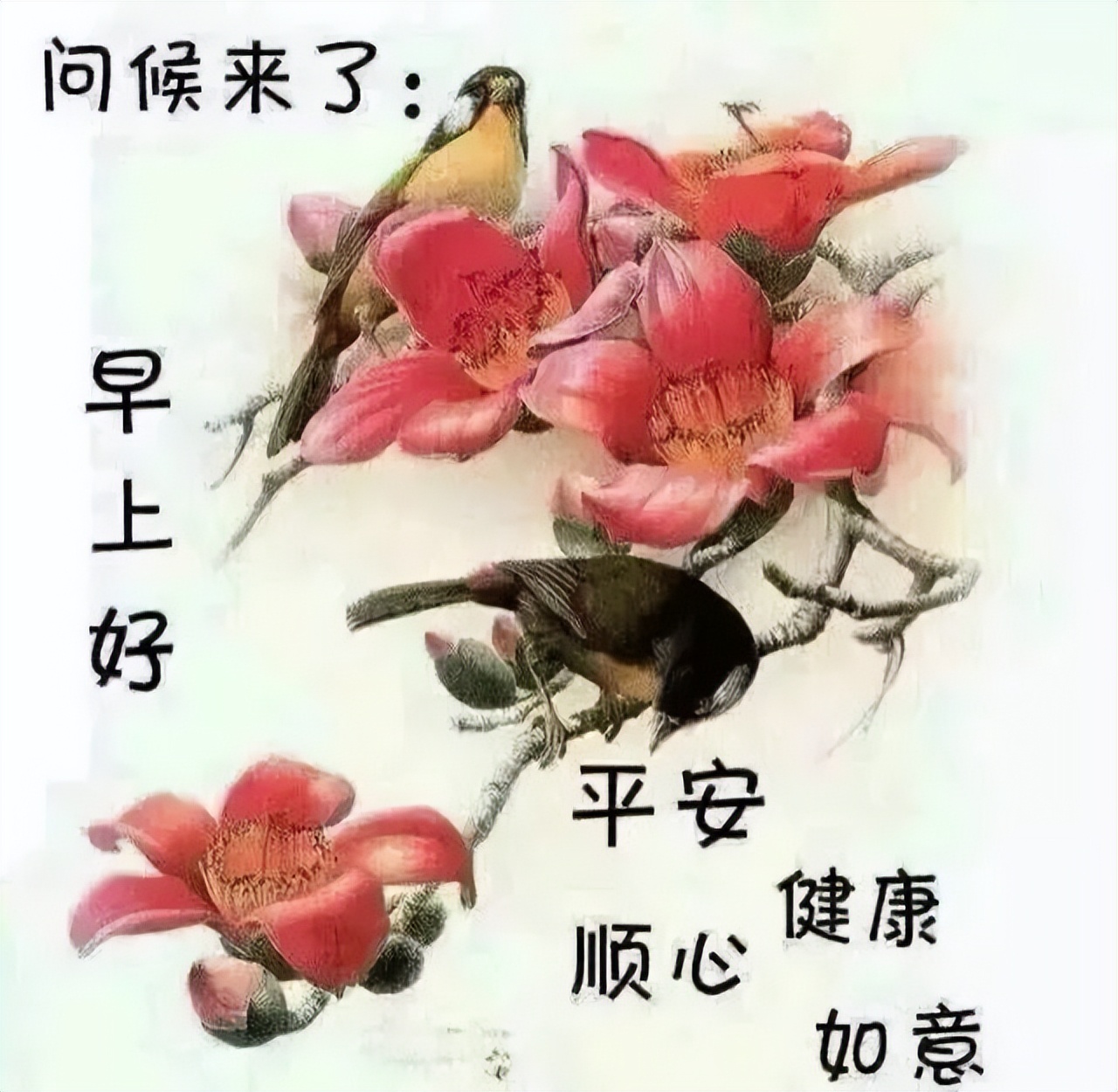 秋天每日更新早晨好美图表情 平安顺心、健康如意图片