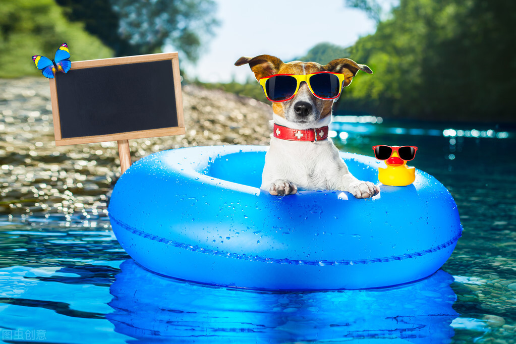 暑期培训心得体会教师最新