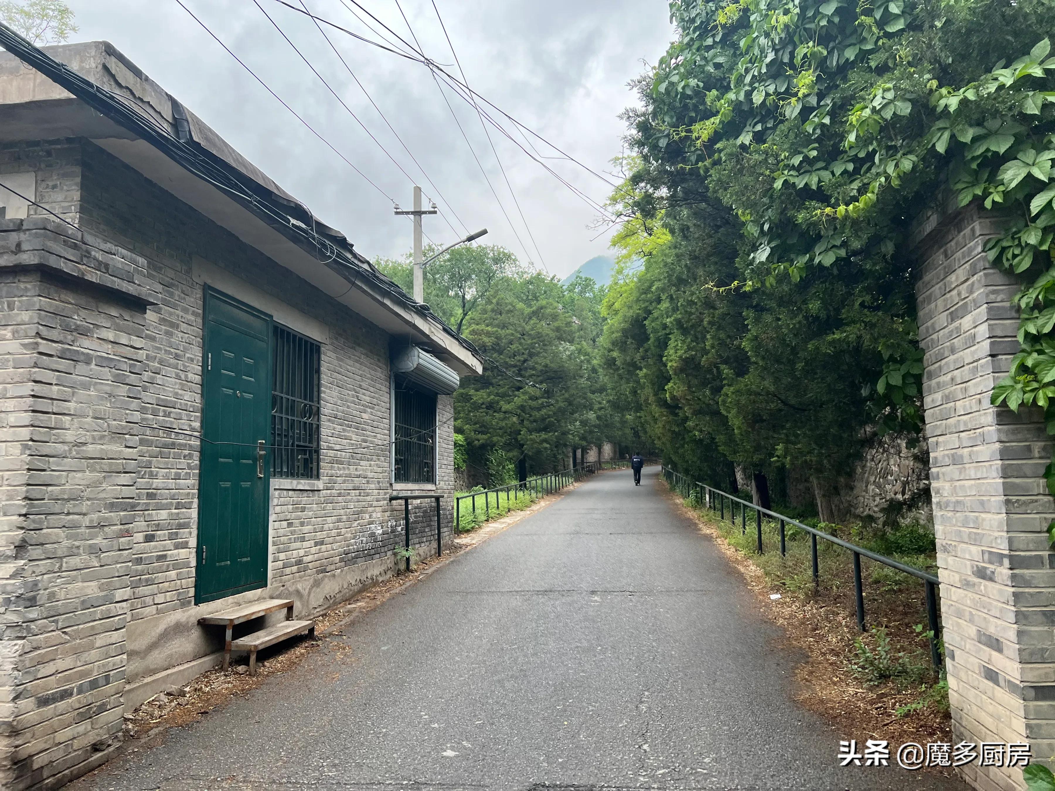 北京香山植物园户外记录，带孩子们雨中山野徒步，感受自然乐趣