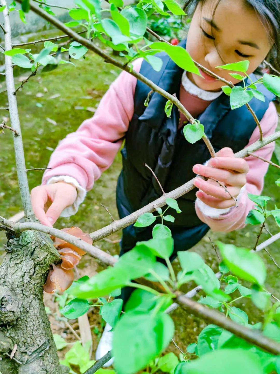 黄甲小学开展“人人参与科技节，我的科技节我做主”科技节活动