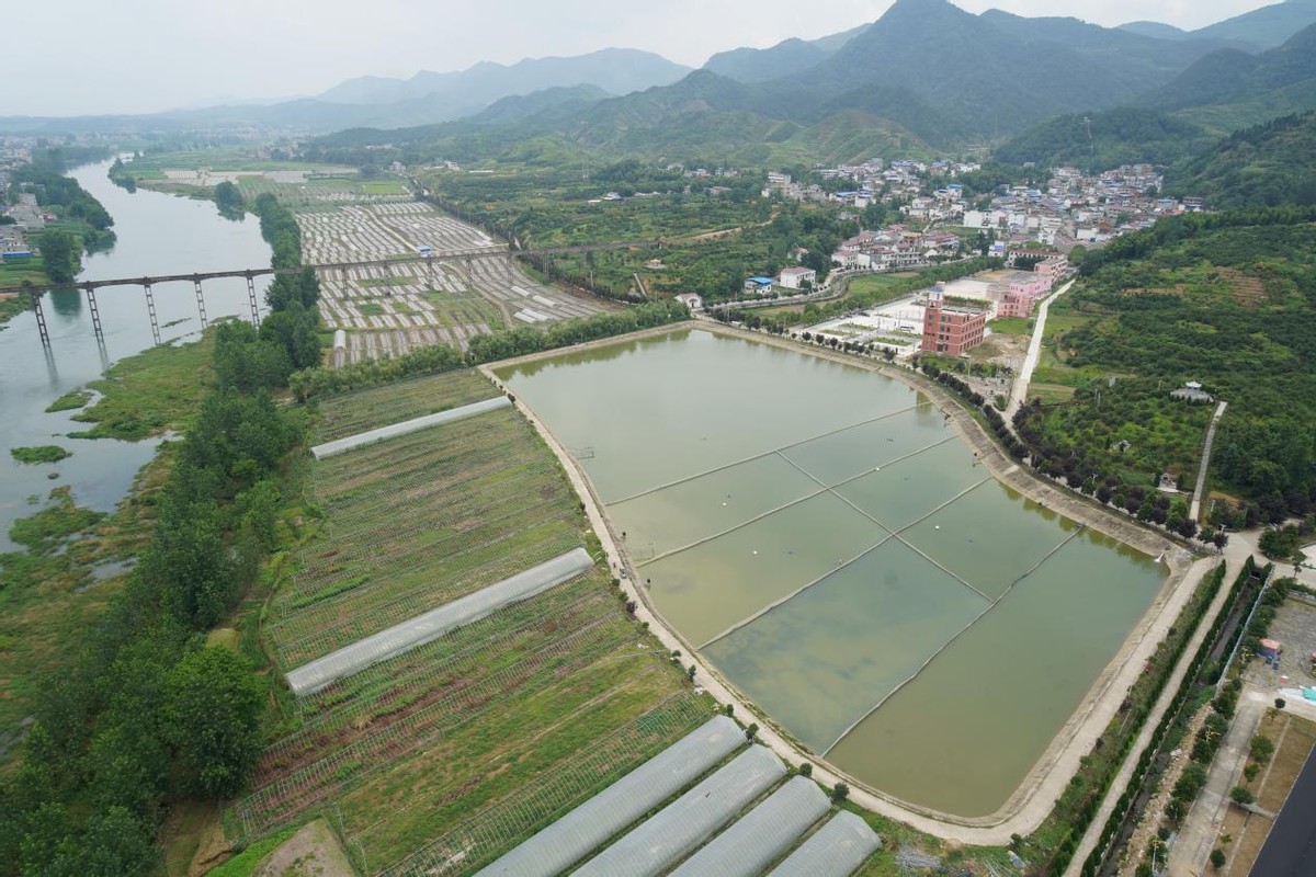 帶就業(yè)旺旅游助致富，陽(yáng)新這個(gè)村干出了“田園綜合體”樣板