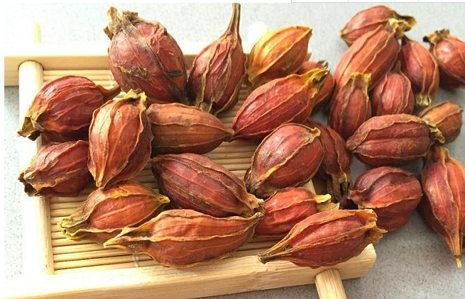 推荐几种降火中药材