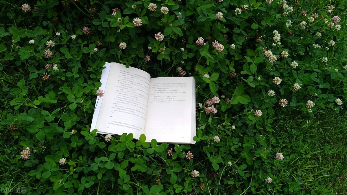 世界读书日，走进《绿野仙踪》，走进童话世界的美好