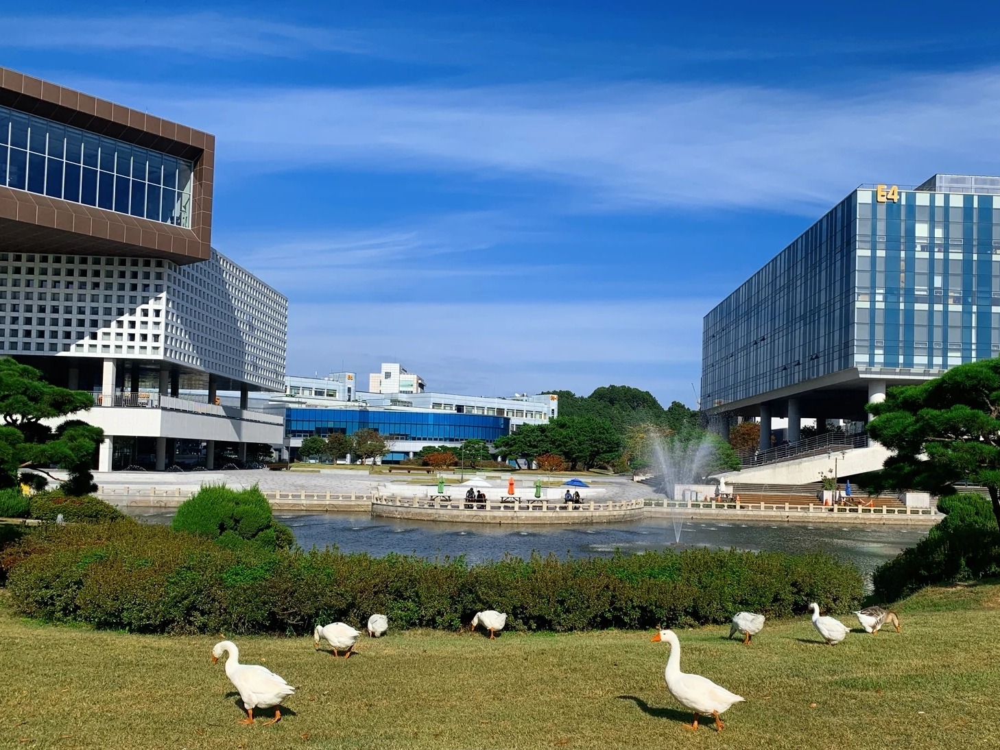 韩国公认的几所好大学，留学生干货分享，适合珍藏