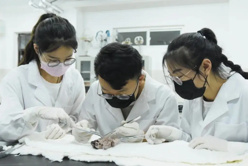 想当医生考什么大学（医学专业前景排名曝光）