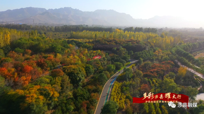 邯鄲涉縣榮獲“河北省森林城市”稱號(hào)