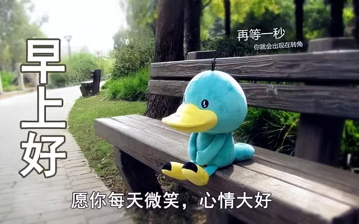 2022朋友圈早上好问候祝福语录，放下苦痛，才能沐浴阳光图片