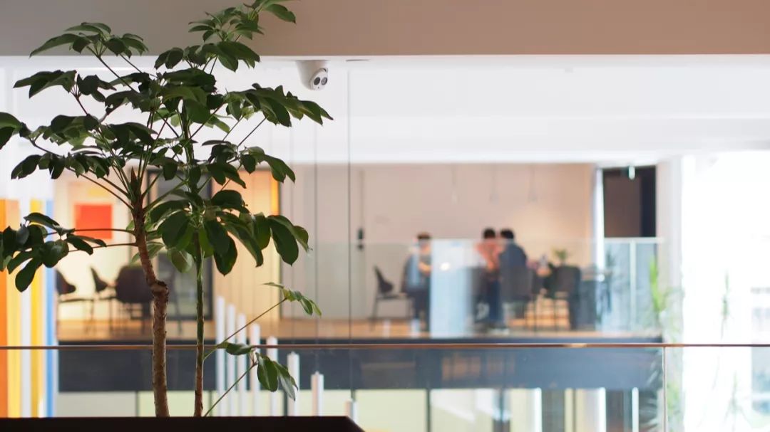 杭州吴越画室：2023届「定制班」招生简章，开启艺术的大门