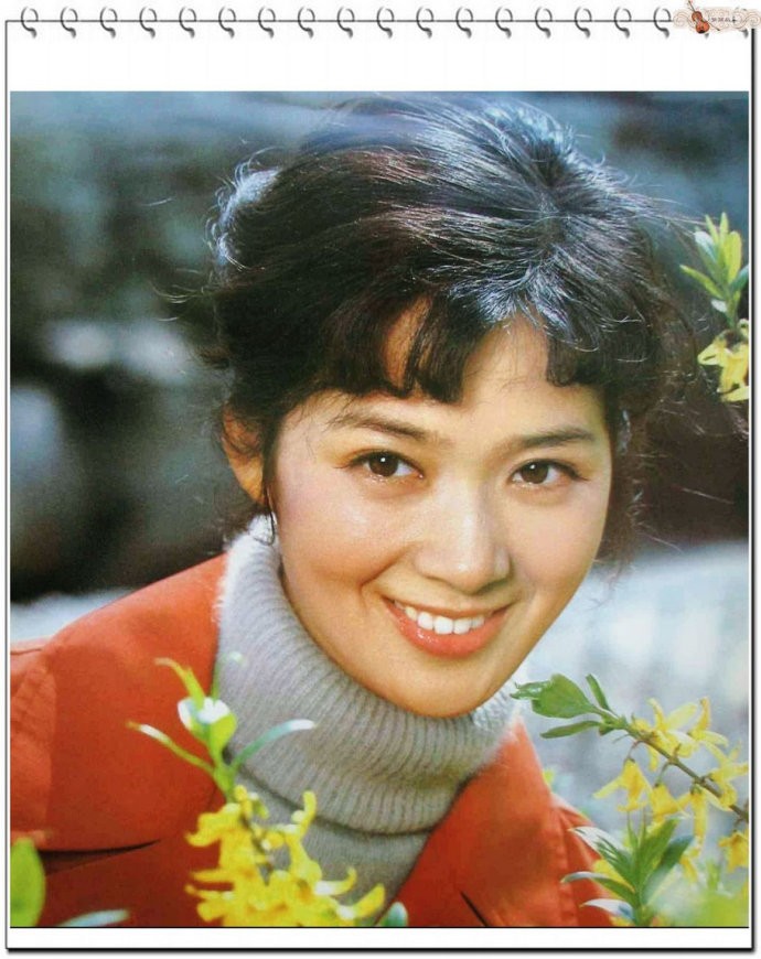 盘点八十年代最红女星：她们老了，那个辉煌的电影时代也过去了