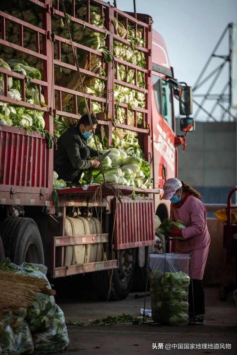 中国最低调的蔬菜大省，为什么是甘肃？