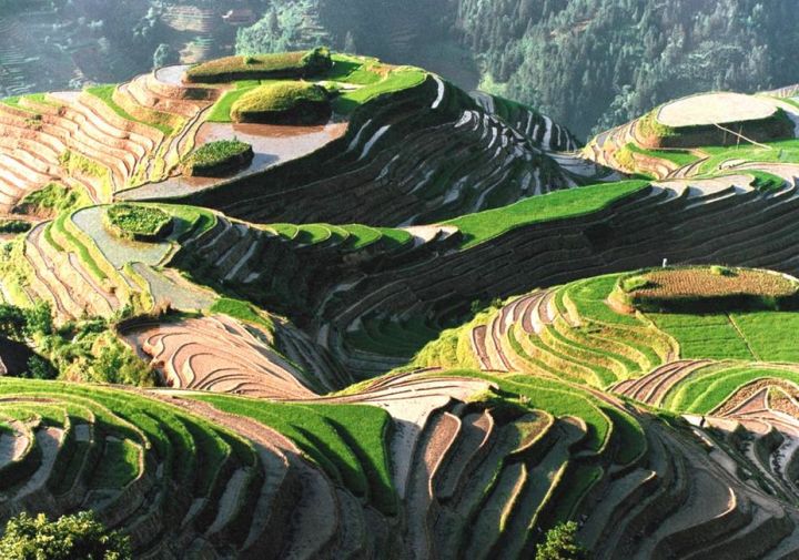 2022欧洲留学｜自然科学领域世界排名前两百大学盘点（欧洲篇）