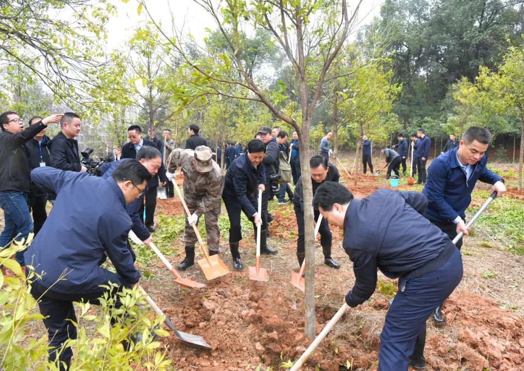 创国家森林城市 建怀化绿色家园 黎春秋王建球李万千印宇鹰等参加义务植树活动