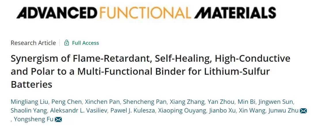 顶刊:高安全性-用于锂硫电池的阻燃、自愈、高导电性、极性粘结剂