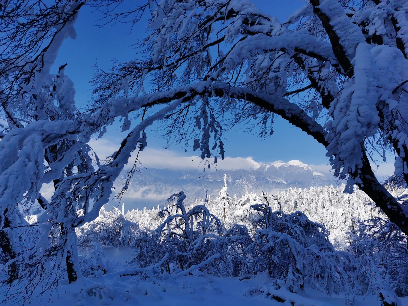 云海之上，贡嘎之巅，王岗坪冰雪之旅