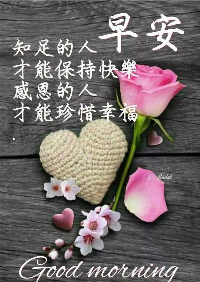 早上好表情包,千好万好,快乐平安最好，愿你欢欣喜悦，开心每一天图片