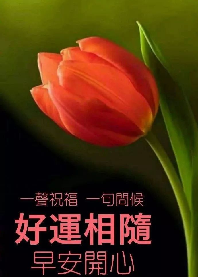 精选好看的早上好动态美图关心话语，一个问候带给你一个新的心情图片