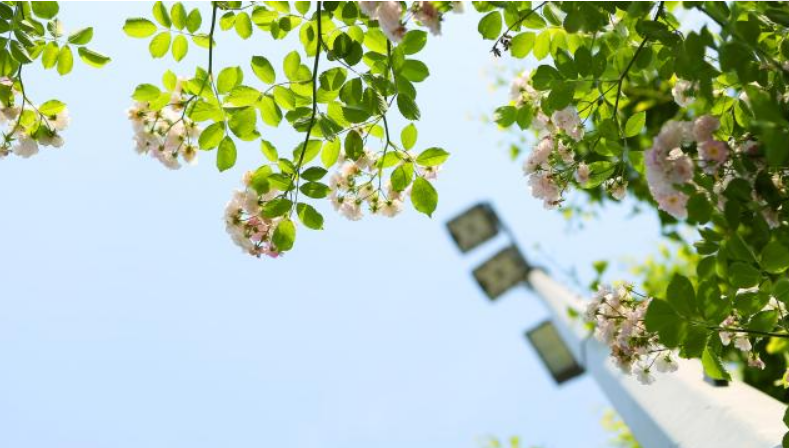 中国大学排名前300强，一次性了解大学层次，为志愿做好准备