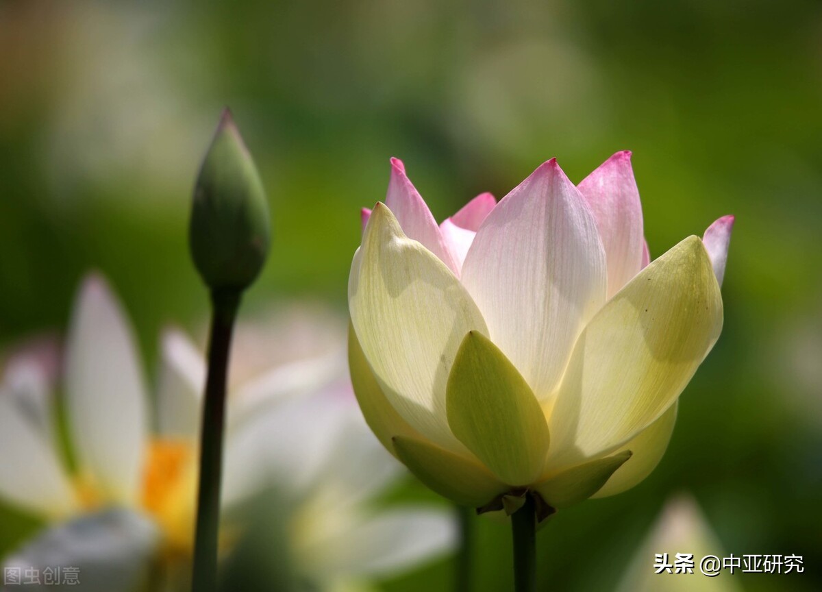 青海民族大学硕士研究生招生学院复试时间公告