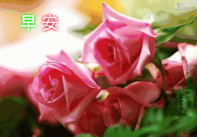 今日更新早上好表情包，事事美好，平安顺心，永远有钱花图片