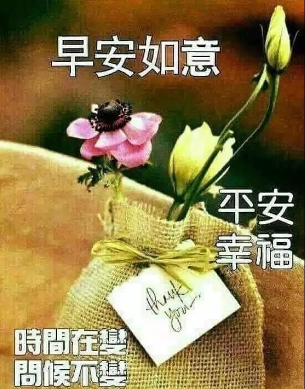 新的一天漂亮早上好图片表情包 新的一天快乐如意、祝福与你相伴图片