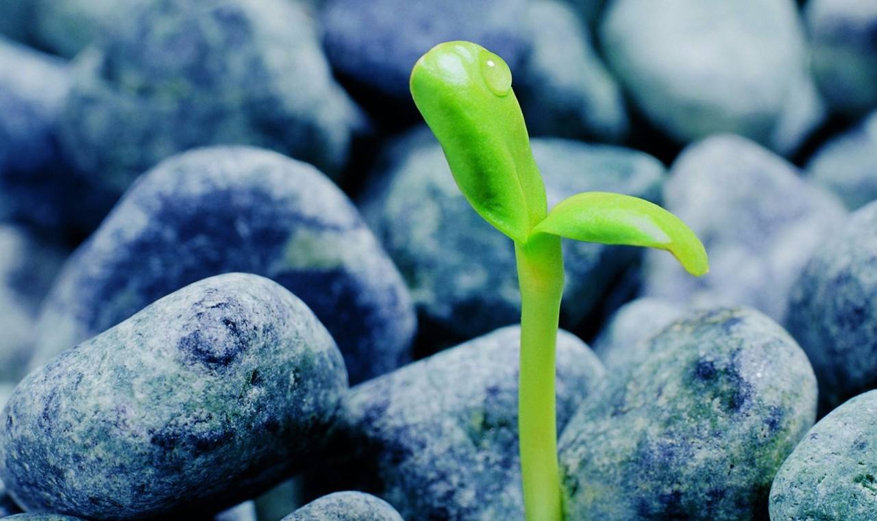 132思维模型：个人商业成功模型一玩转人生概率游戏