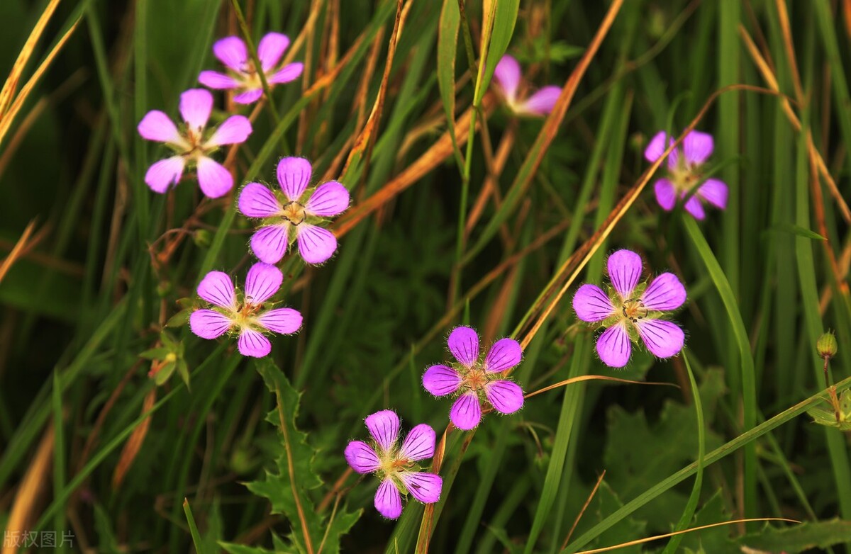 超级有质感的10句ins风高级中英文文案-我的快乐小窝
