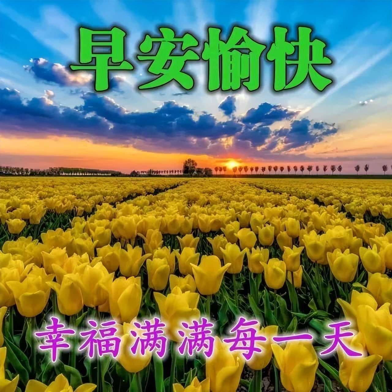 微信群发朋友的暖心早上好漂亮祝福图片，人生有你真好图片