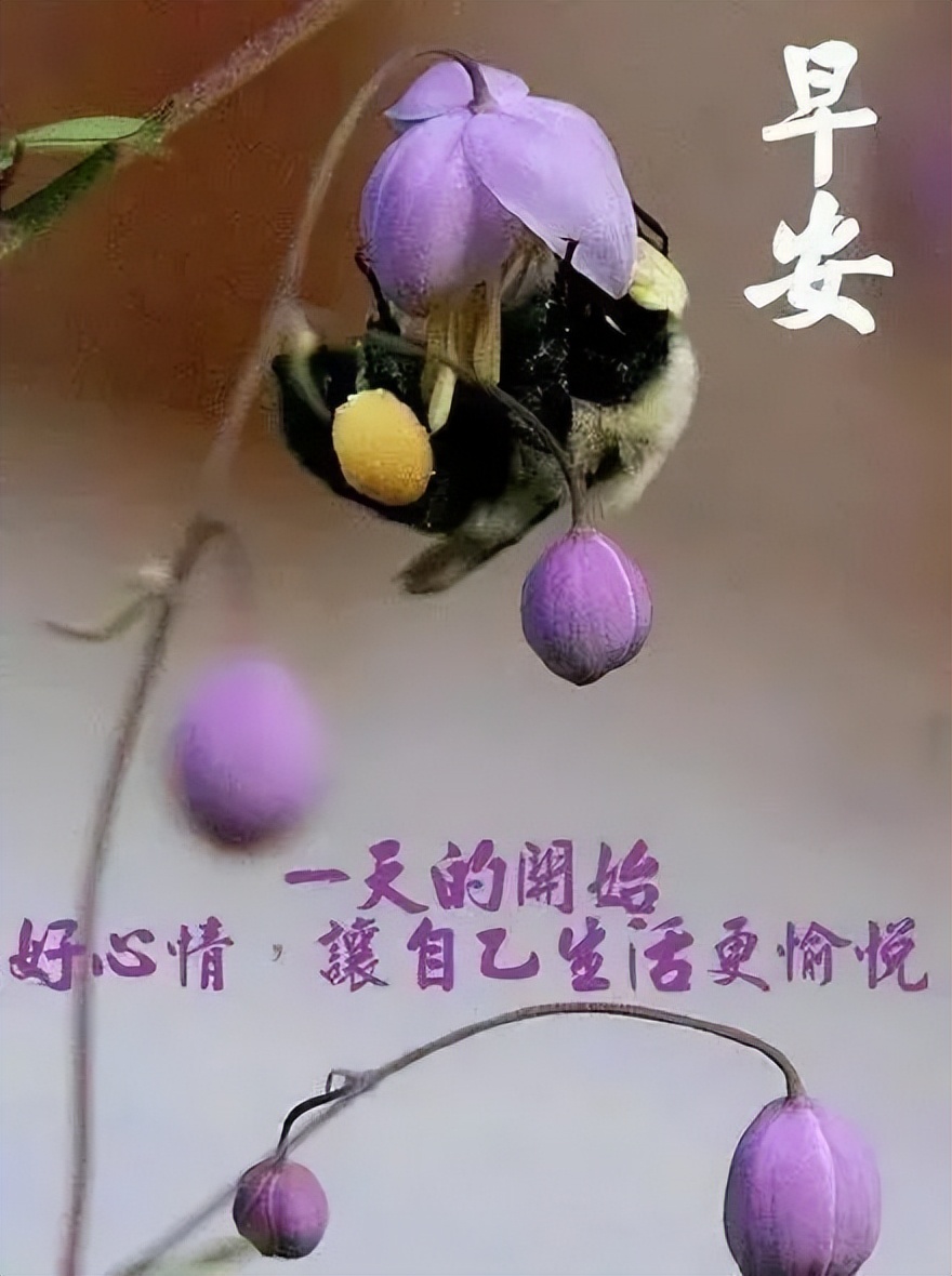 祝福早上好问候语 早上好图片带字 岁月虽然在转换 你我情意不能变图片