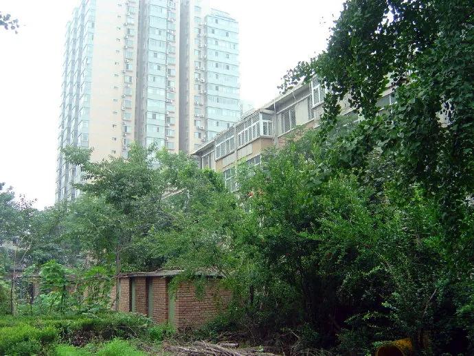 2012年07月08日 回到老地方