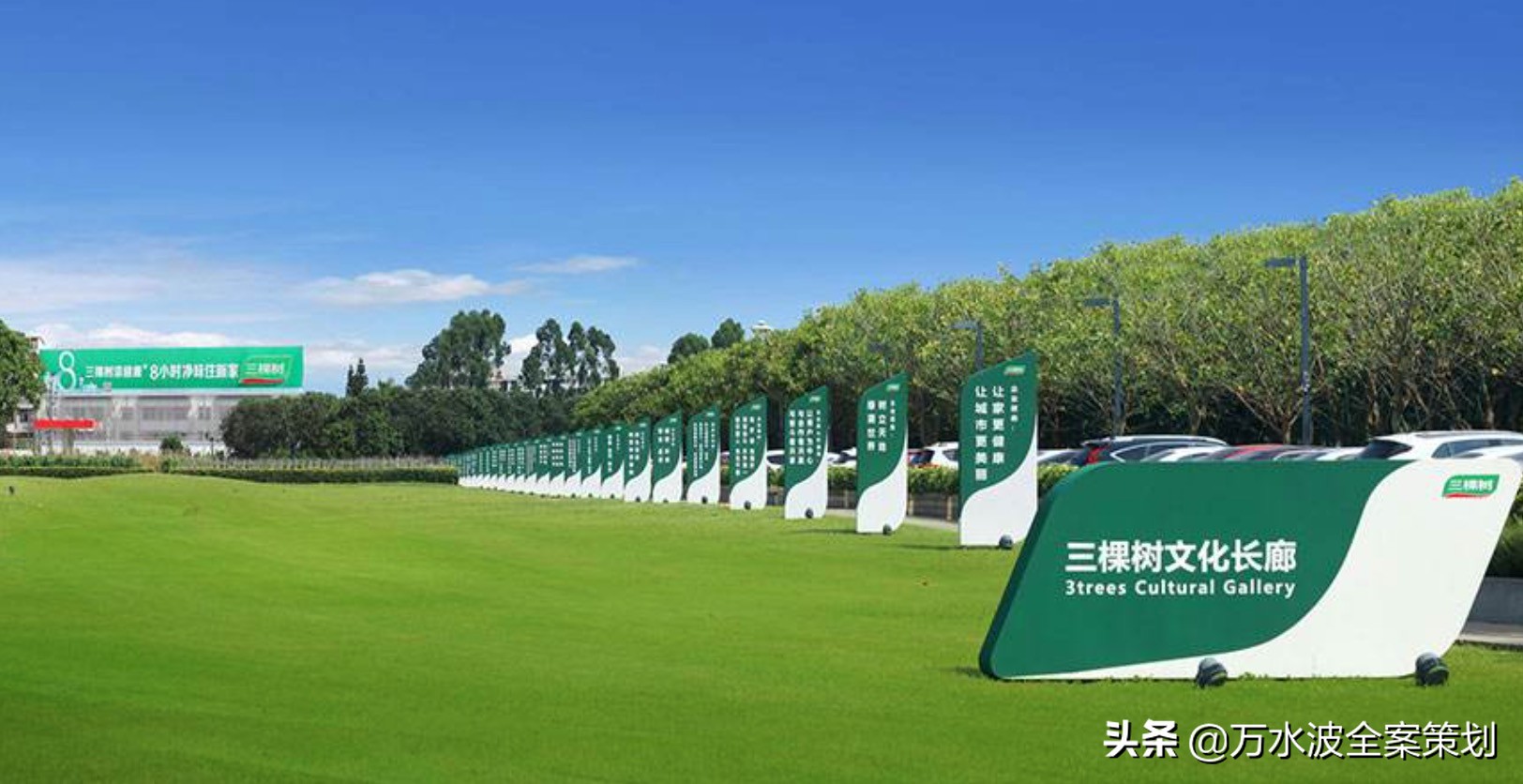 涂料品牌销售设计策划方案：万水波解读三棵树成为健康漆品类之王
