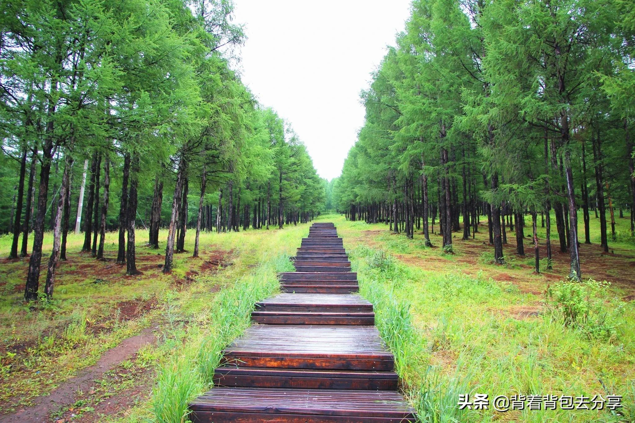 內蒙古必游的十大景點，去過9處，才算真正的玩轉內蒙古