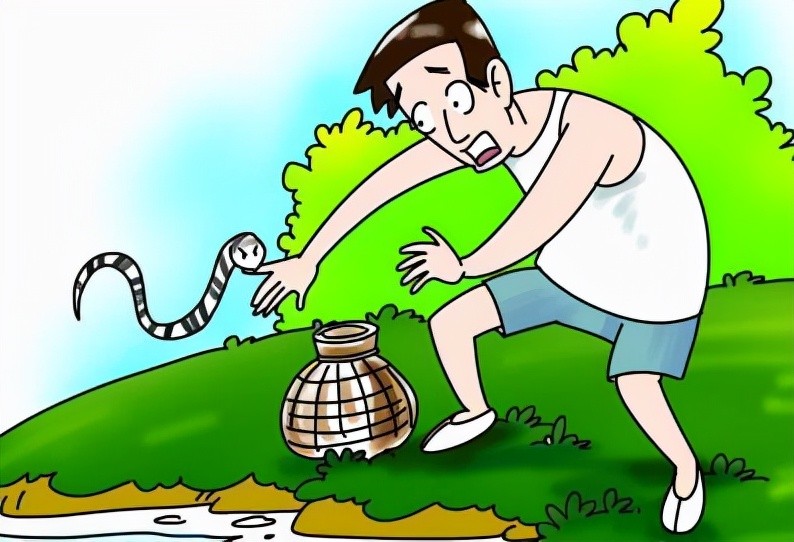 老鼠为什么敢吃蛇?是因为冬眠的蛇"好欺负",还是为了复仇?