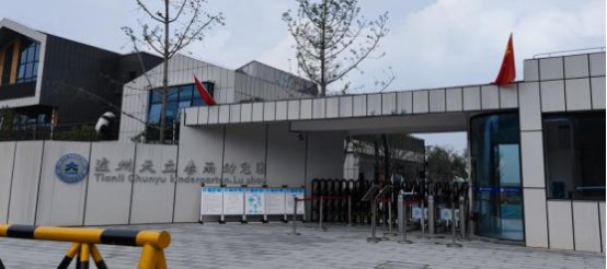 5000万赃款，3000万充值网游！法评天立教育旗下小学原校长诈骗案