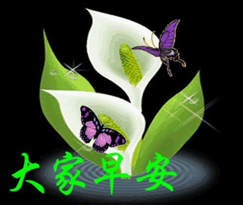 微信早上好阳光暖心语录 朋友圈早上好心情说说正能量 一切都美好图片