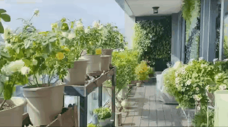 新房入住后才懂的阳台窗帘装修妙用