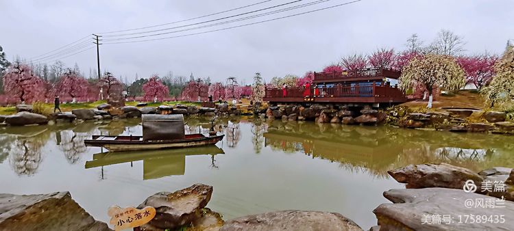 烟雨蒙蒙问花村 作者：武术兰