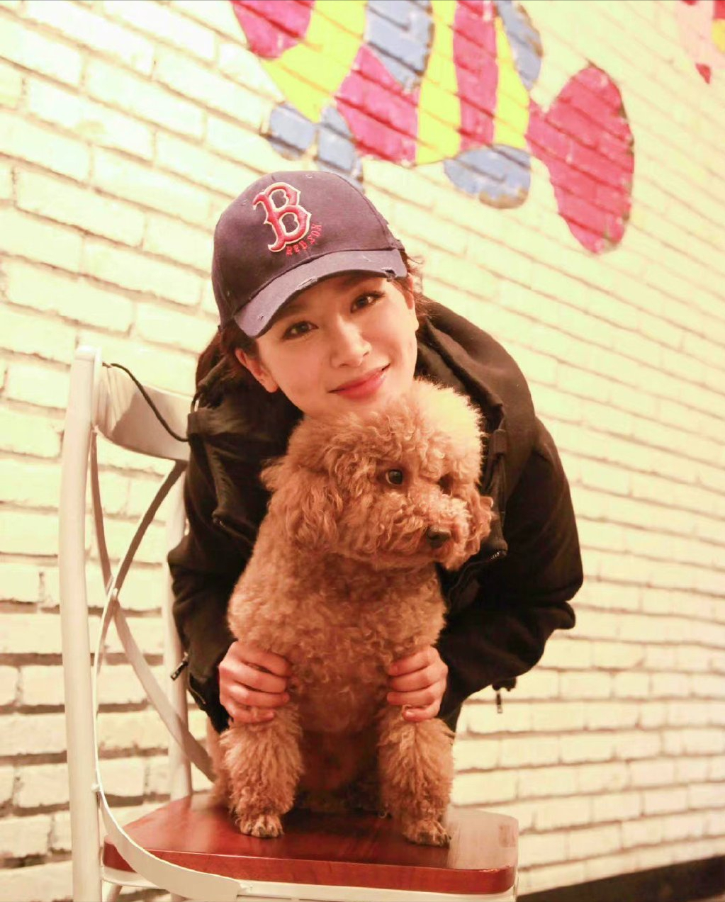 杨紫发文记录小狗出院，粉丝留言安慰，有些人却忍不住酸了