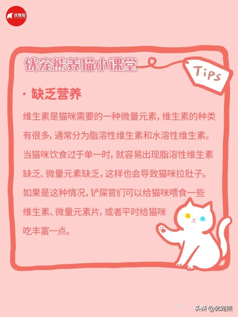 猫盒科普｜猫咪腹泻怎么办
