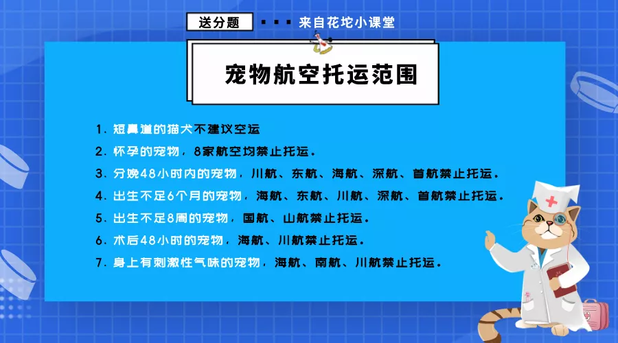 新年宠物托运保姆级指南，为了毛孩子一定要看