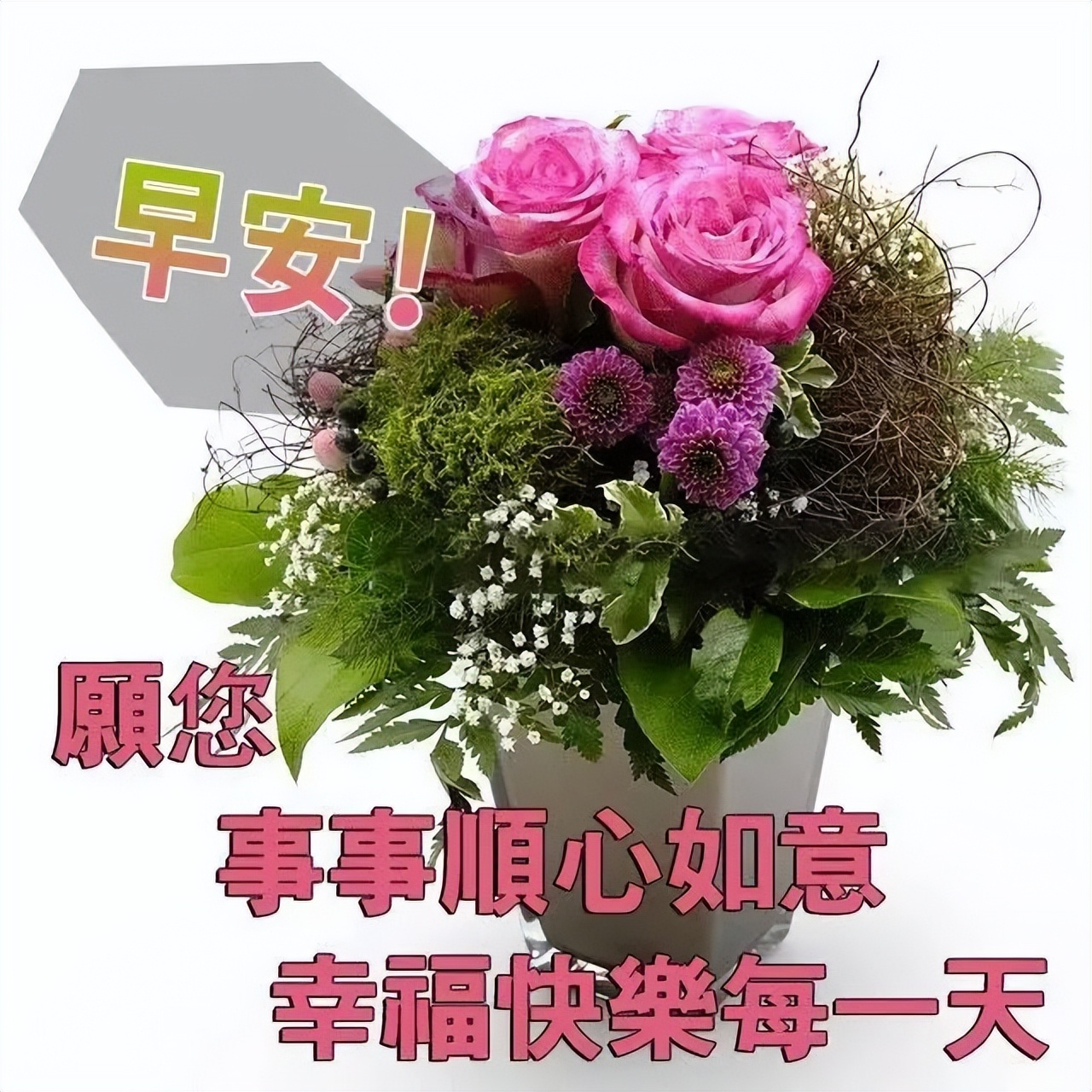 周三早上好,每天问个好,生活更美好，睡得好起得早、笑一笑永不老图片