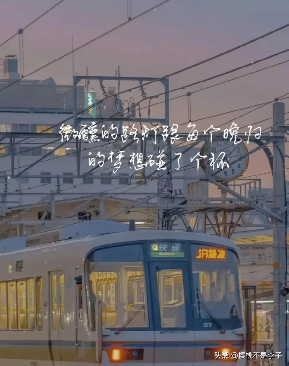 一些值得收藏的高级小众句子
