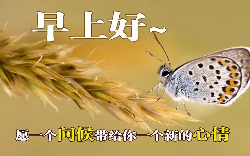 精选好看的早上好动态美图关心话语，一个问候带给你一个新的心情图片