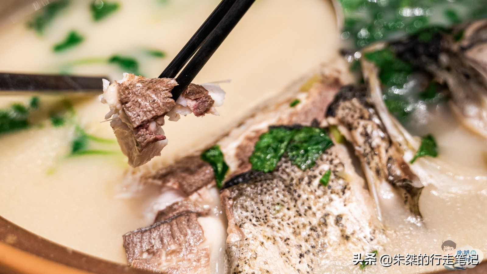 安徽五大著名美食，每一款都包含丰富的历史典故，人文气息浓厚