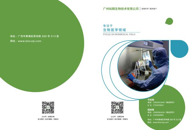 荧光素酶检测实验