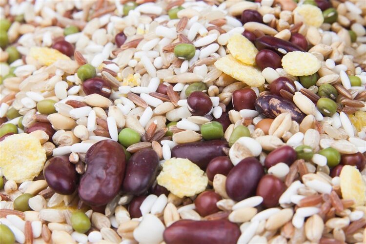 爱吃肉的人和爱吃素的人，哪个更长寿？科学研究告诉你答案