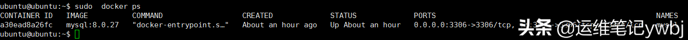 docker MySQL數據庫的備份與還原，以及每天定時自動備份