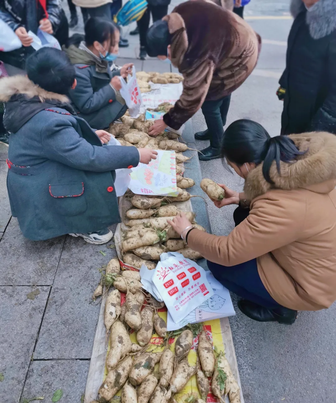 「城南小学•德育工作」小基地大收获 劳动实践快乐多